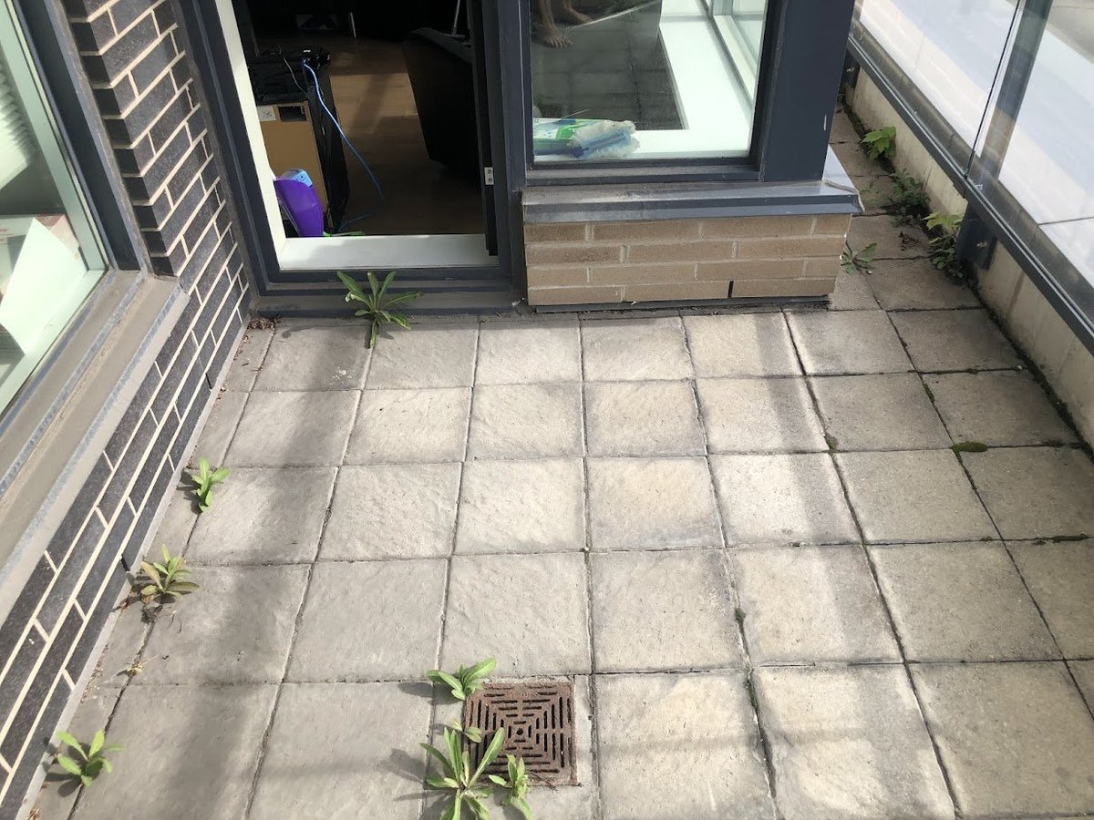 360 Patricia Avenue - Photo 9