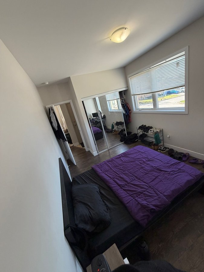 2445 Clover Street - Photo 11