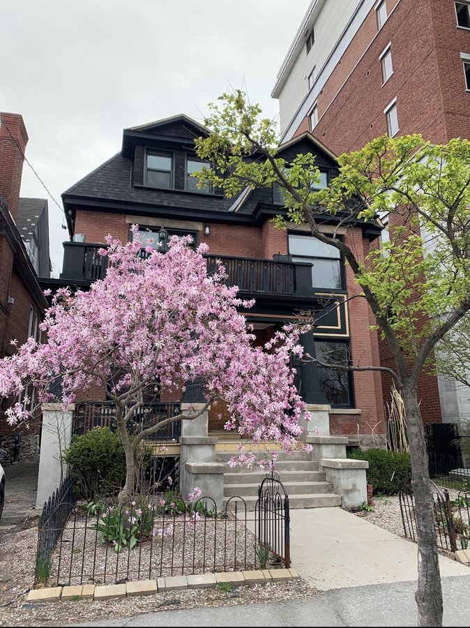 400 O'Connor Street - Photo 2