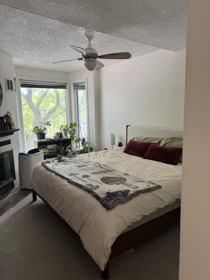 449 McLeod Street - Photo 6