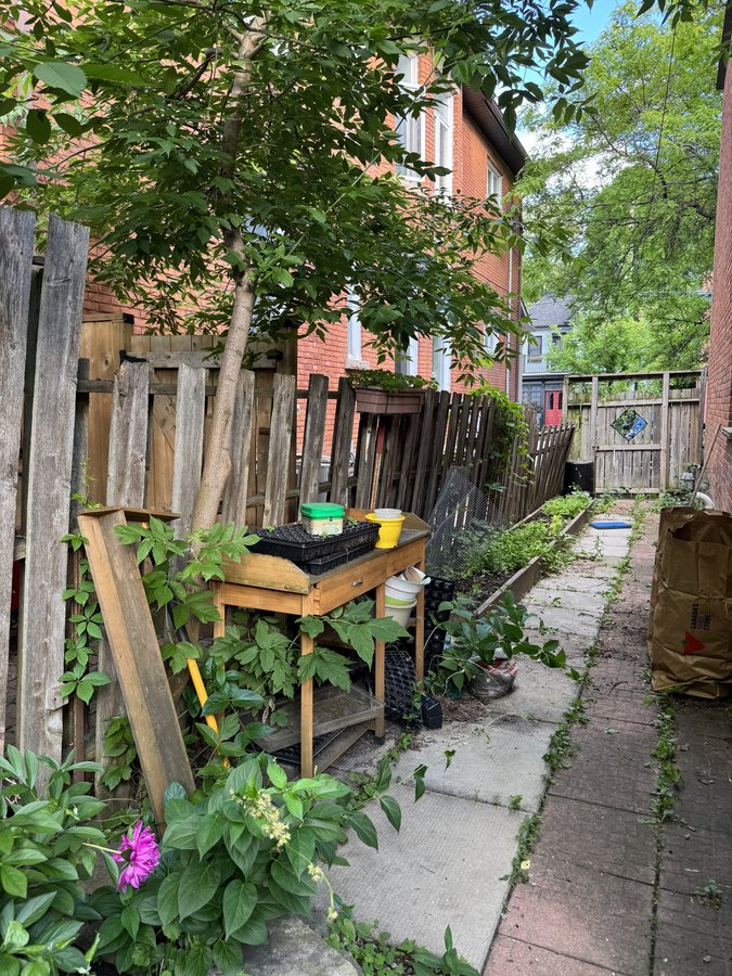 449 McLeod Street - Photo 12