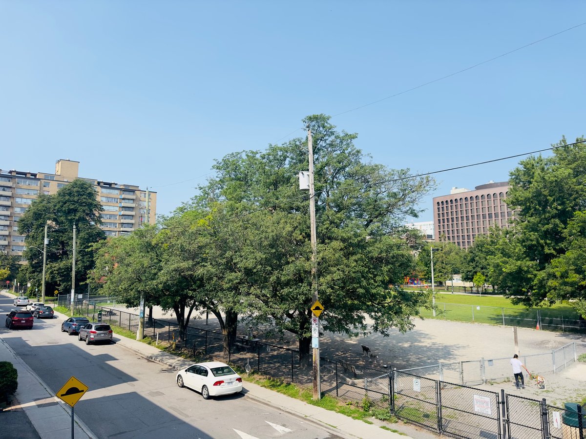230 Frank Street - Photo 21