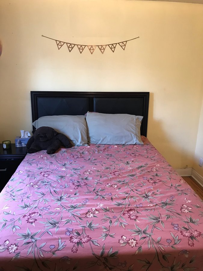 314 Somerset Street East - Photo 3