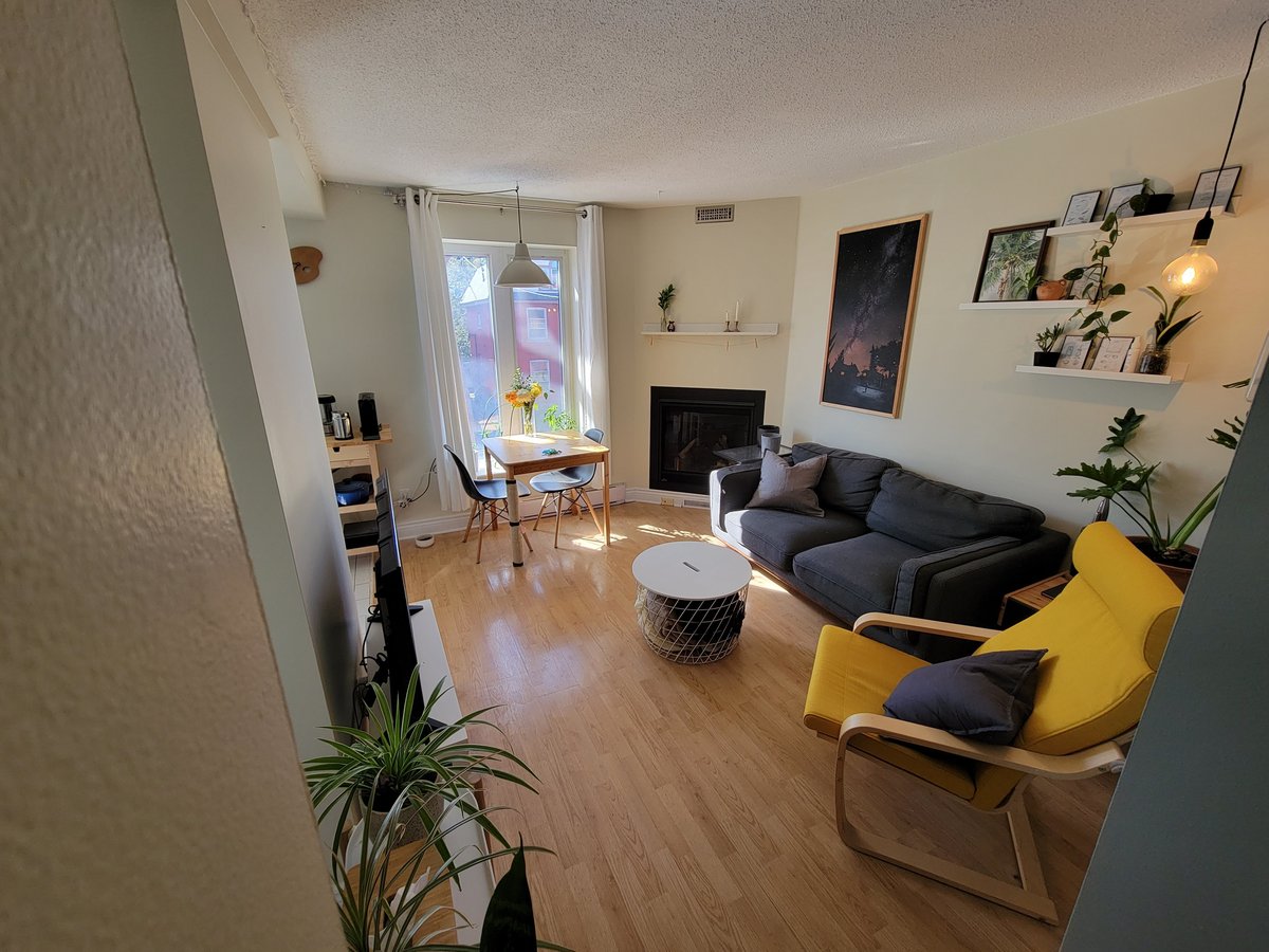 543 McLeod Street - Photo 13