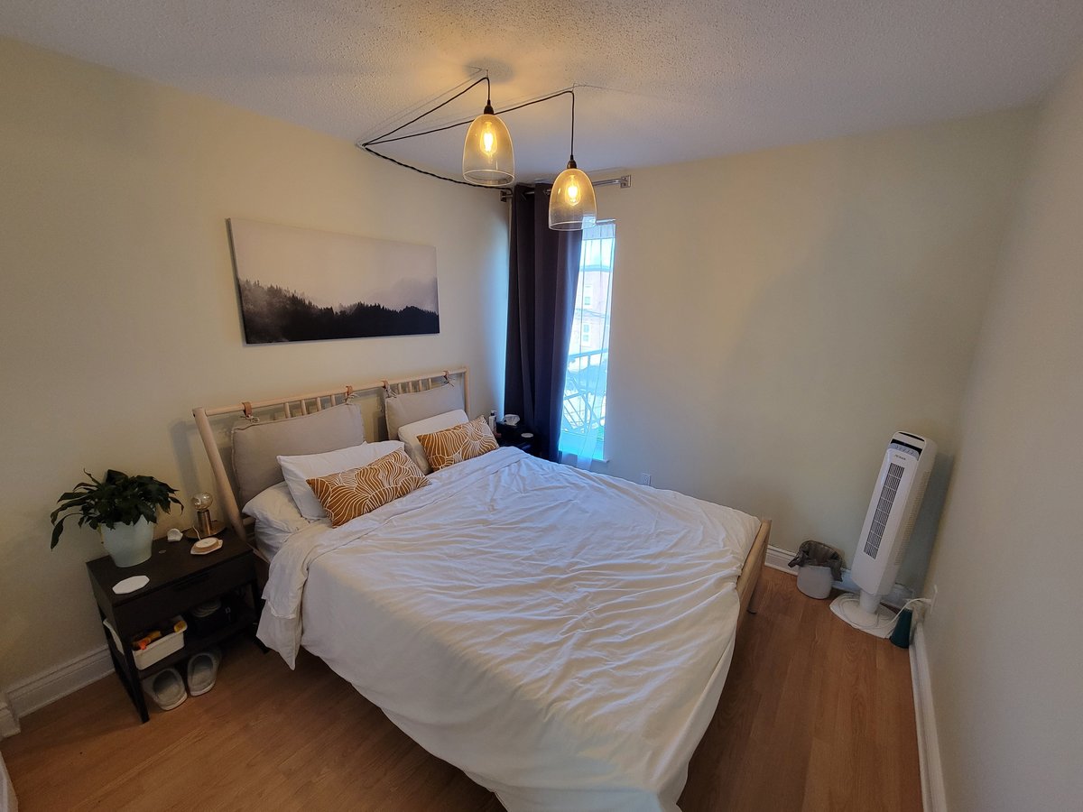 543 McLeod Street - Photo 7