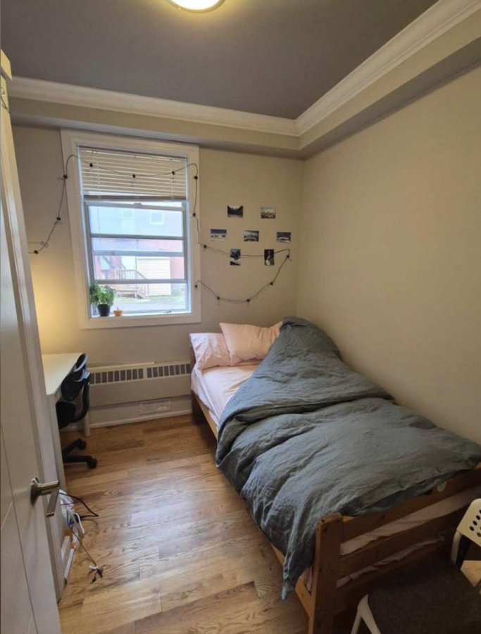 393 Nelson Street - Photo 4