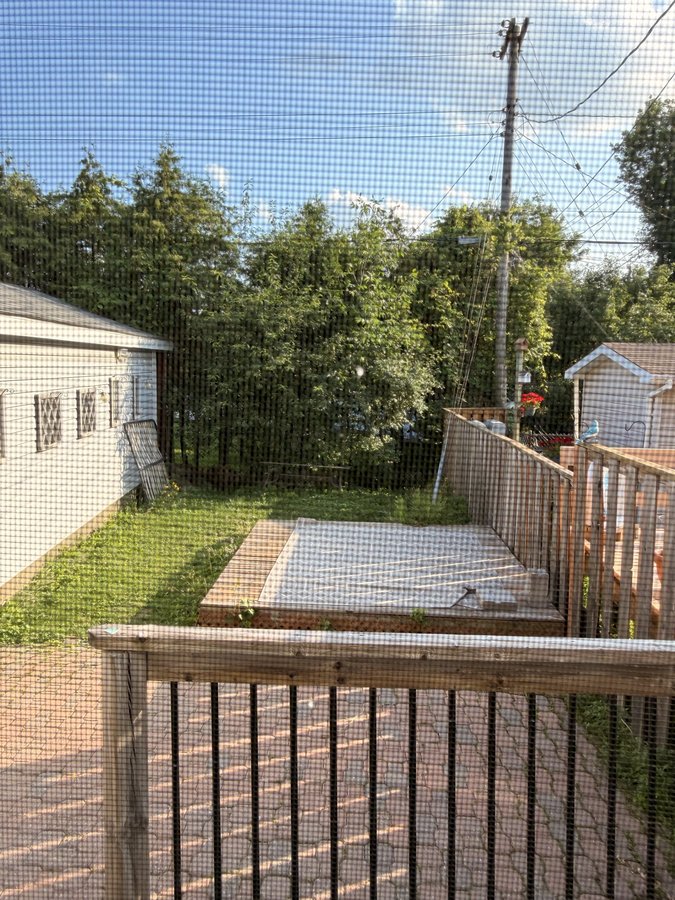 2264 Russell Road - Photo 20