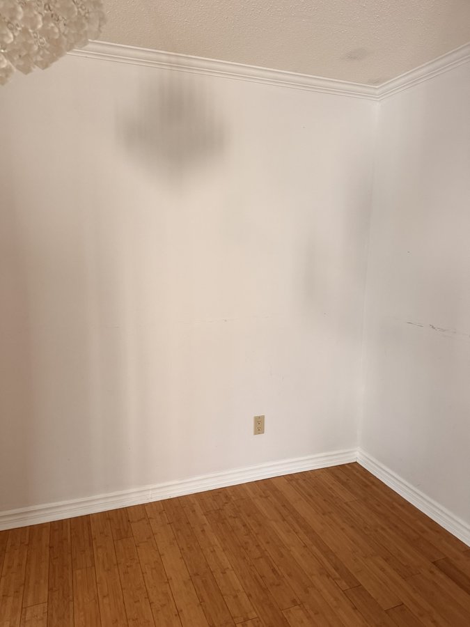 2264 Russell Road - Photo 13
