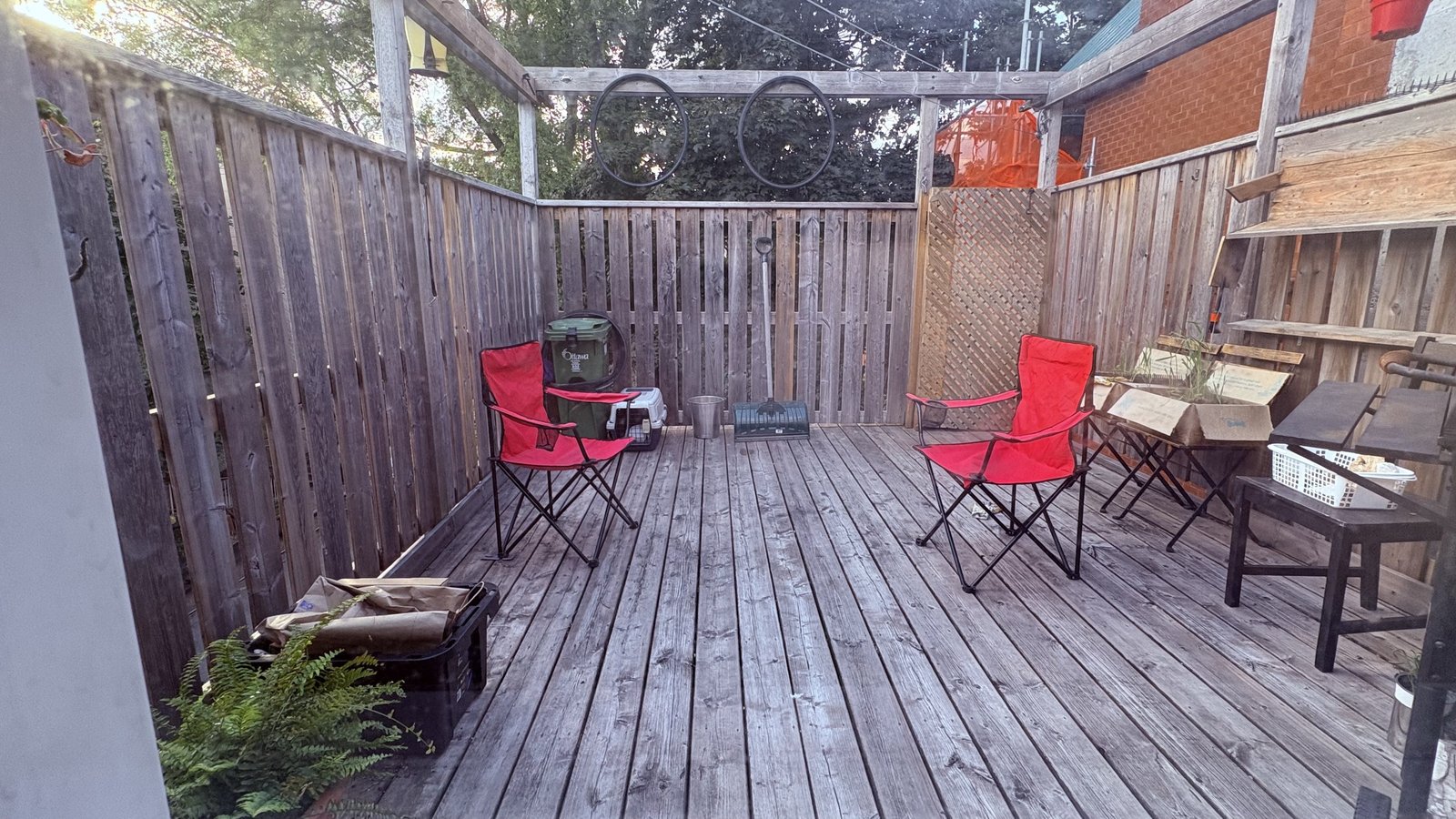 49 Argyle Avenue - Photo 10
