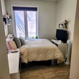 285 Rue Wilbrod Street - Photo 8