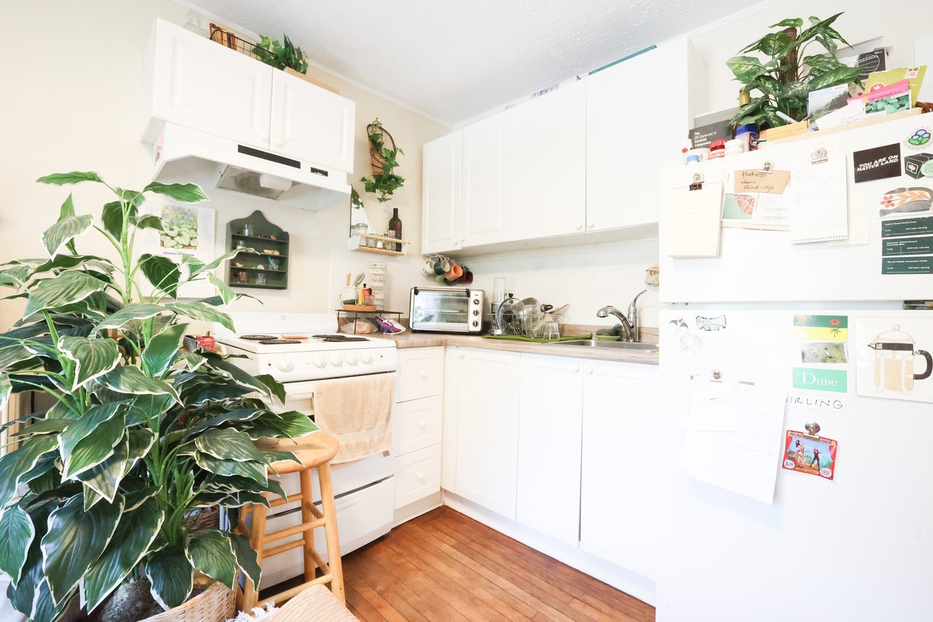 214 Flora Street - Photo 3