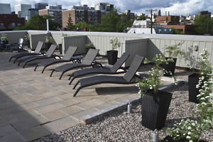 429 Kent Street - Photo 14