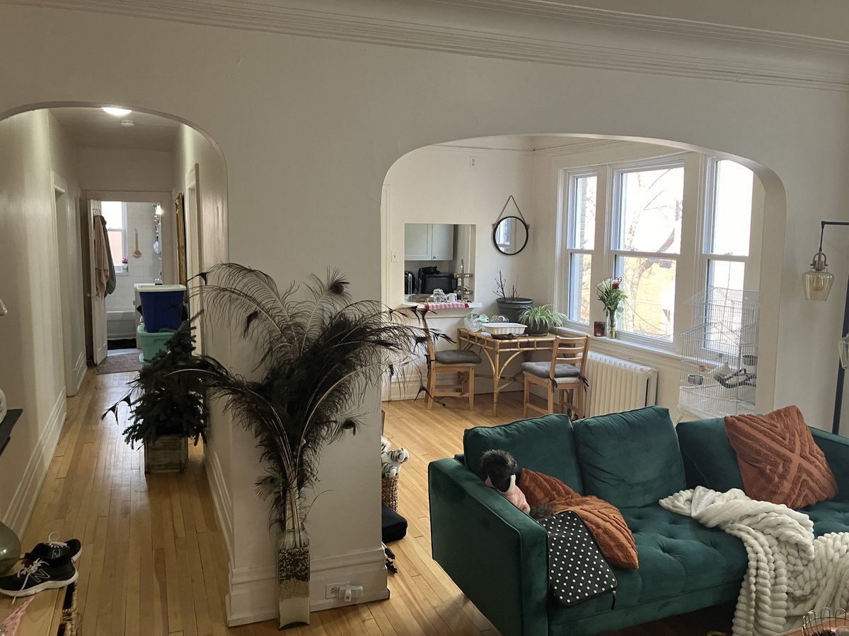 353 Frank Street - Photo 3