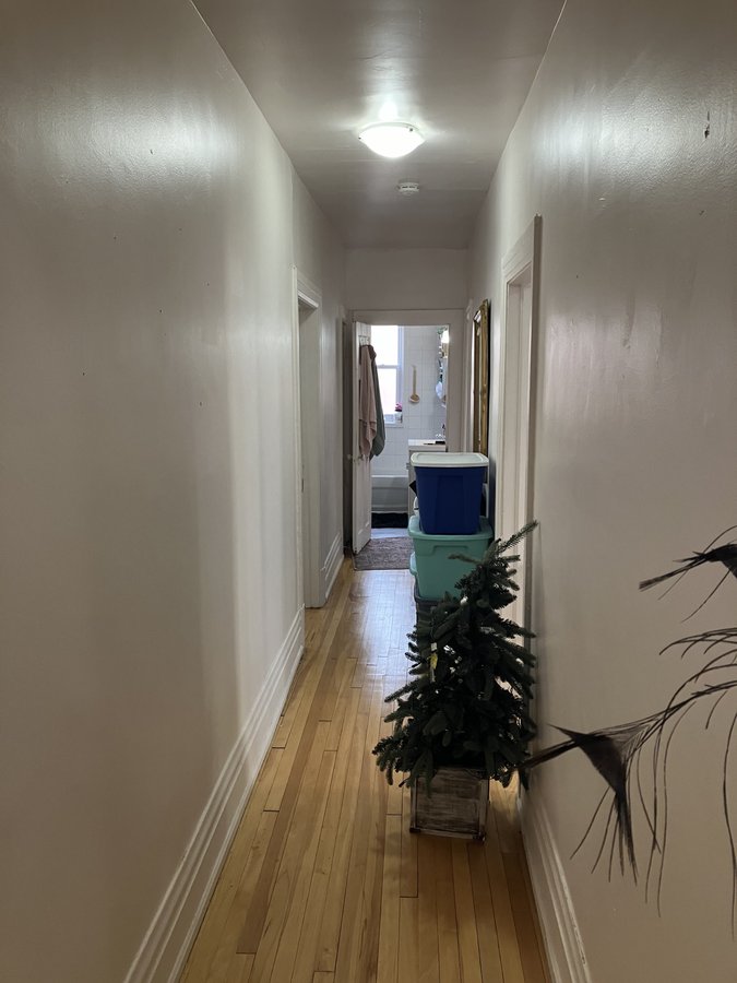 353 Frank Street - Photo 4