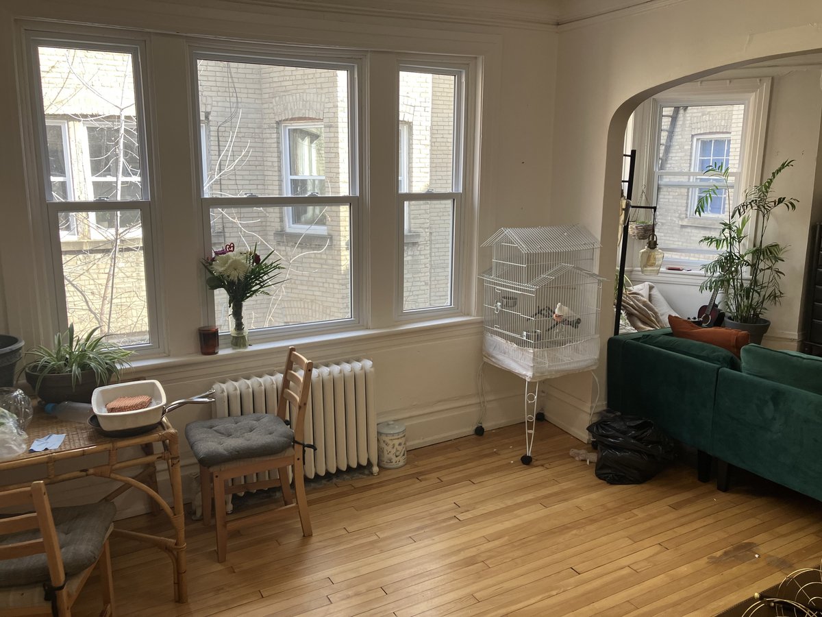 353 Frank Street - Photo 5