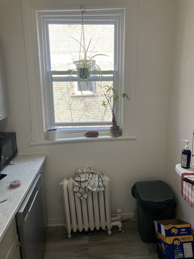 353 Frank Street - Photo 11