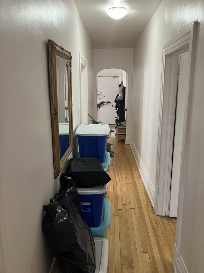 353 Frank Street - Photo 12