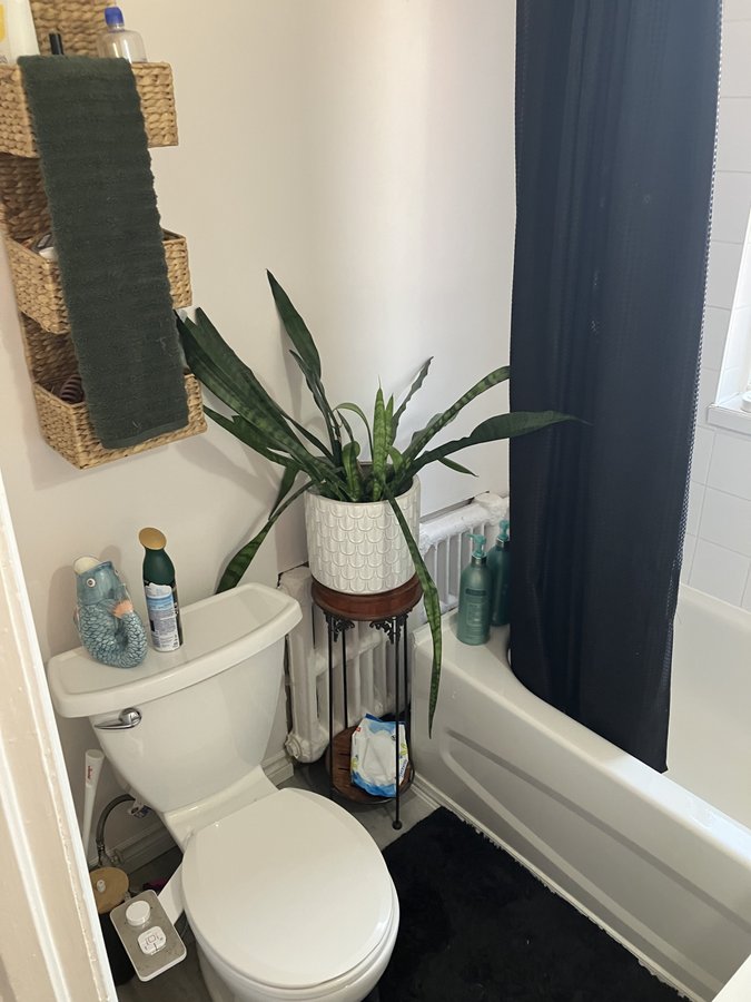 357 Frank Street - Photo 18