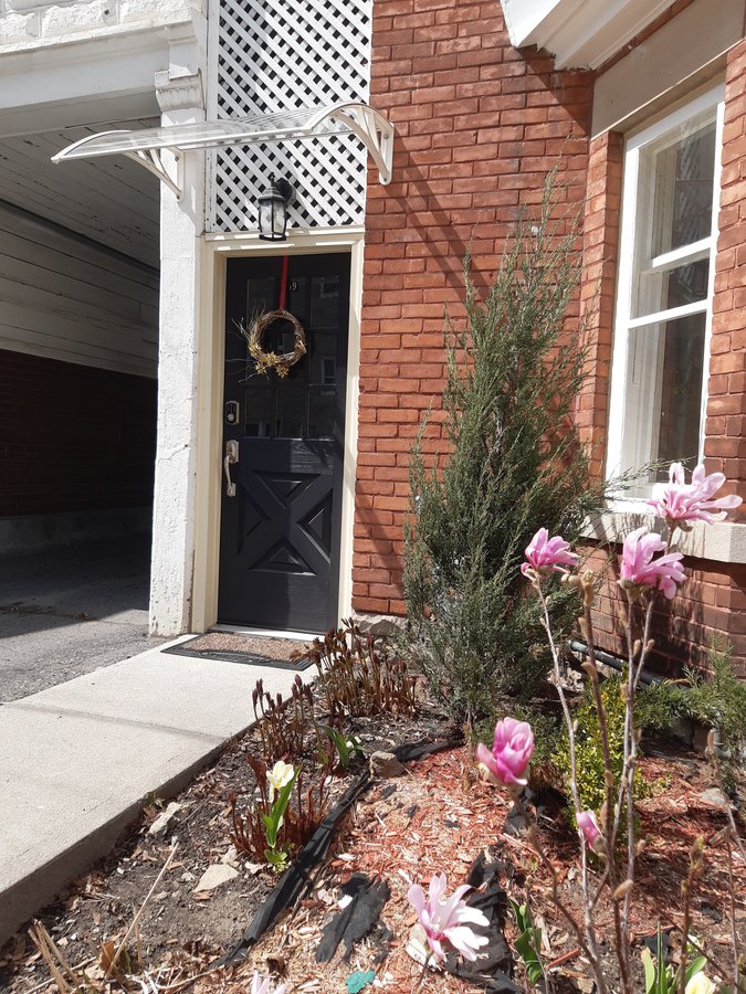 59 Cathcart Street - Photo 10