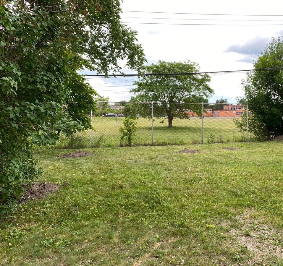 2158 Plesser Street - Photo 6