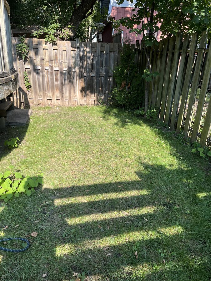 1754 Scott Street - Photo 9