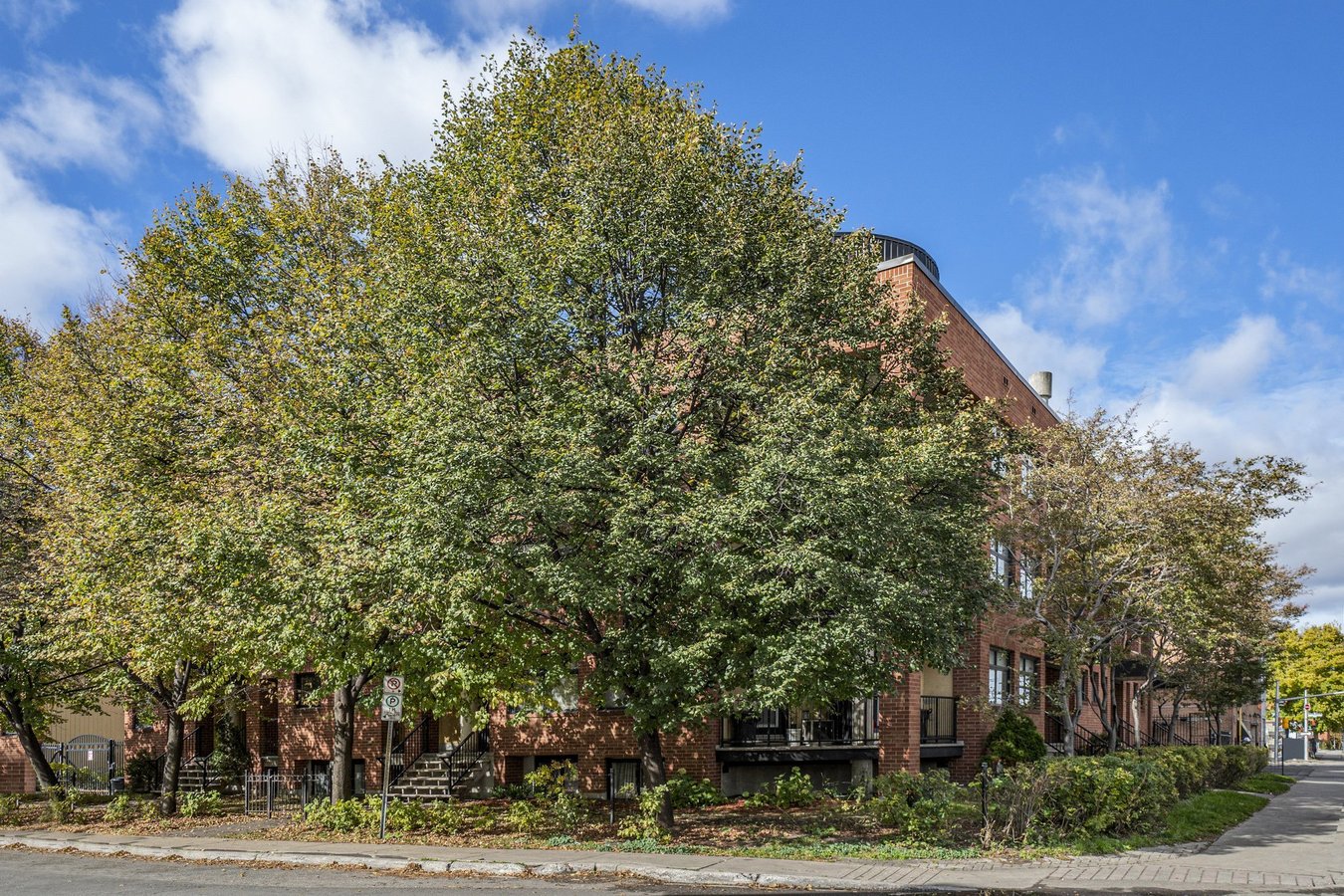 249 Clarence Street - Photo 12