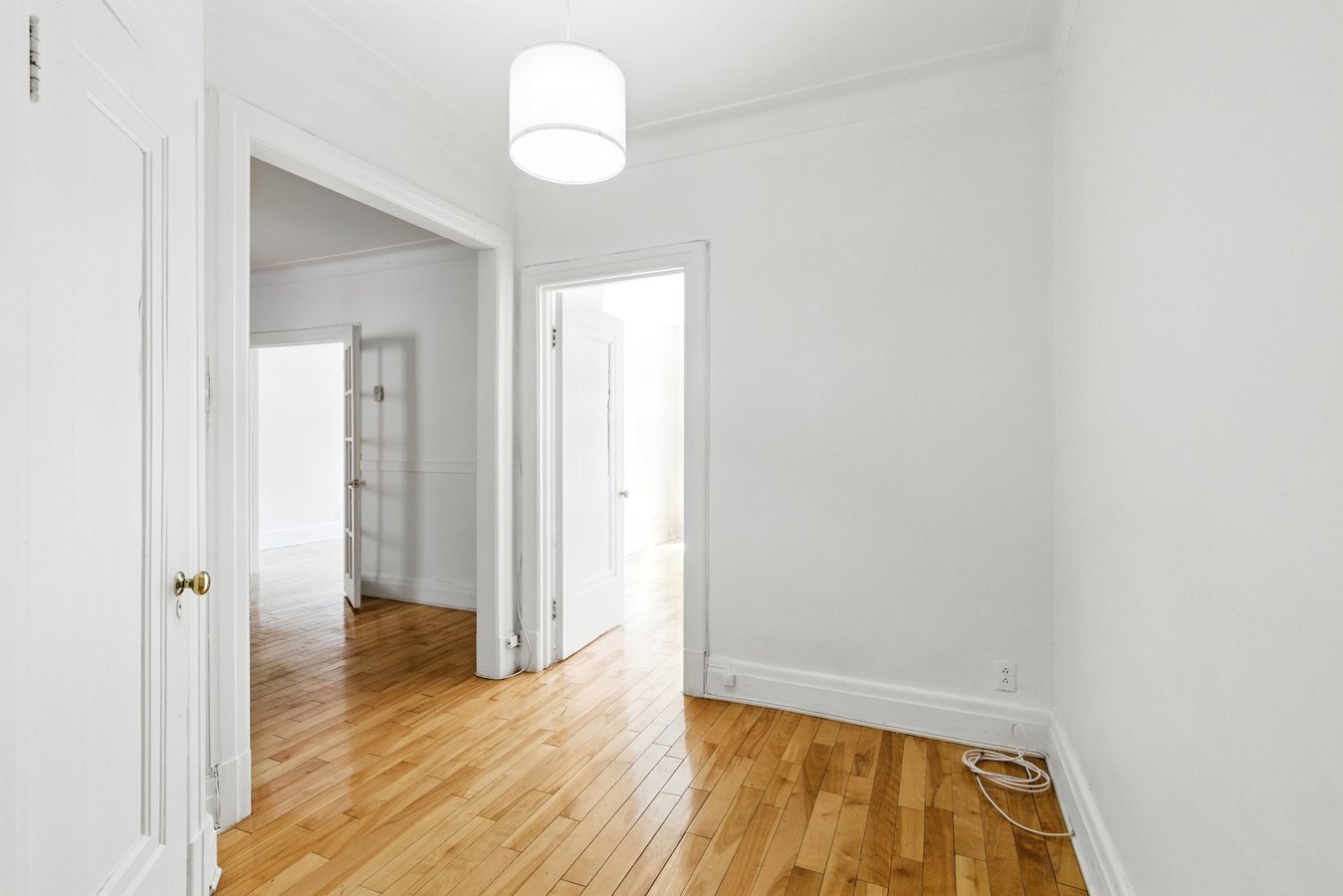1235 Avenue Bernard - Photo 5