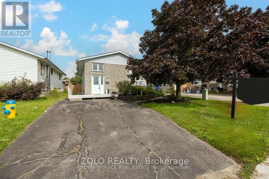 Peterborough ON Apartments and Houses for Rent