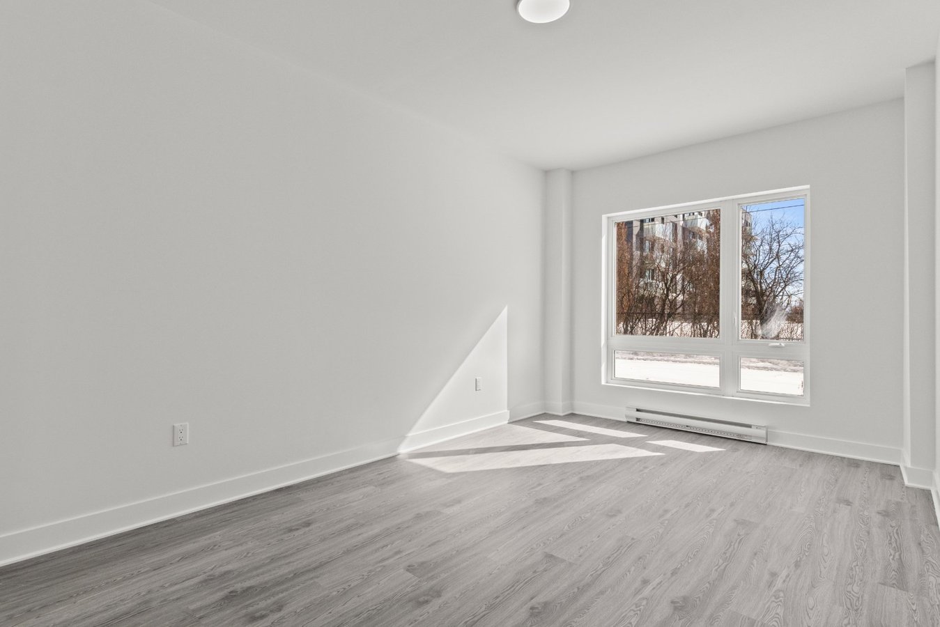 242 Boulevard Hymus - Photo 11