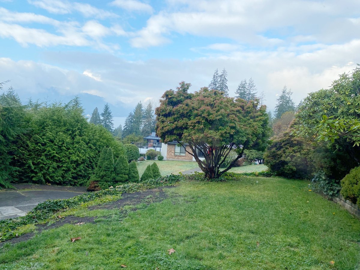 20 Darney Bay - Photo 4