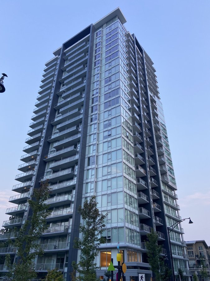 305 Morrissey Road - Photo 2
