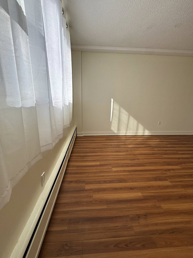 3832 Rae Street - Photo 7