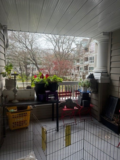 5900 Dover Crescent - Photo 12