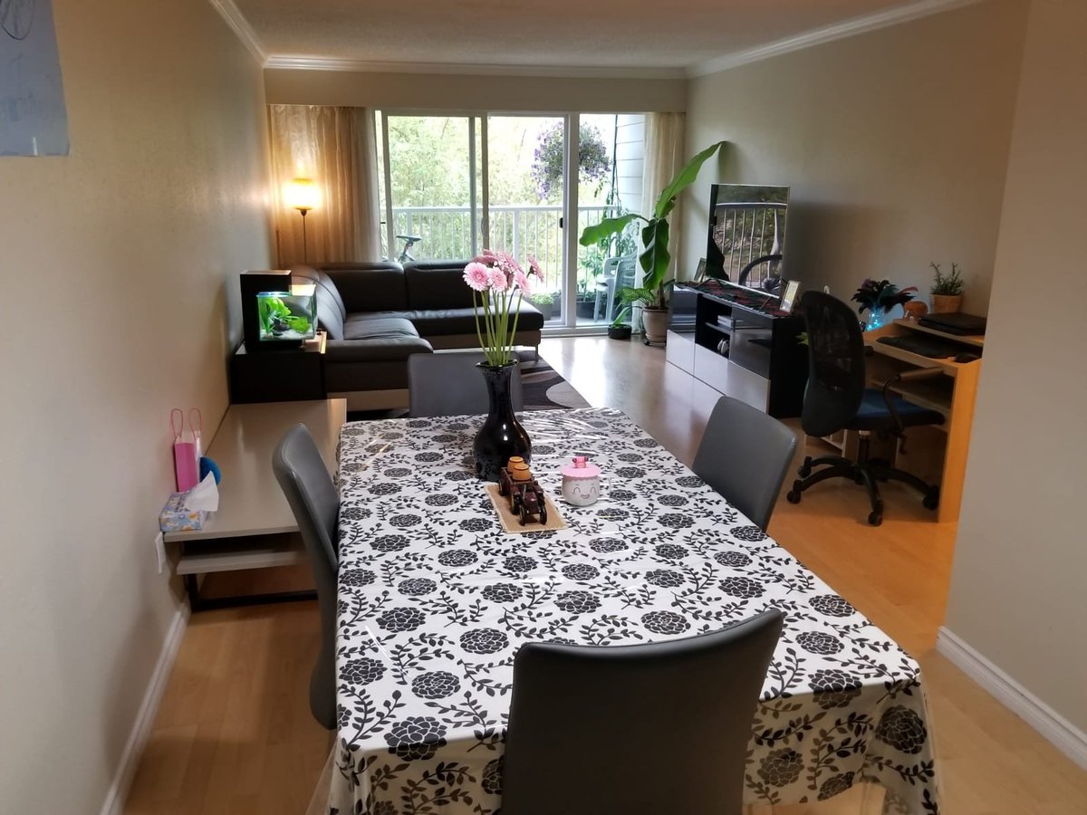 3451 Springfield Drive - Photo 15