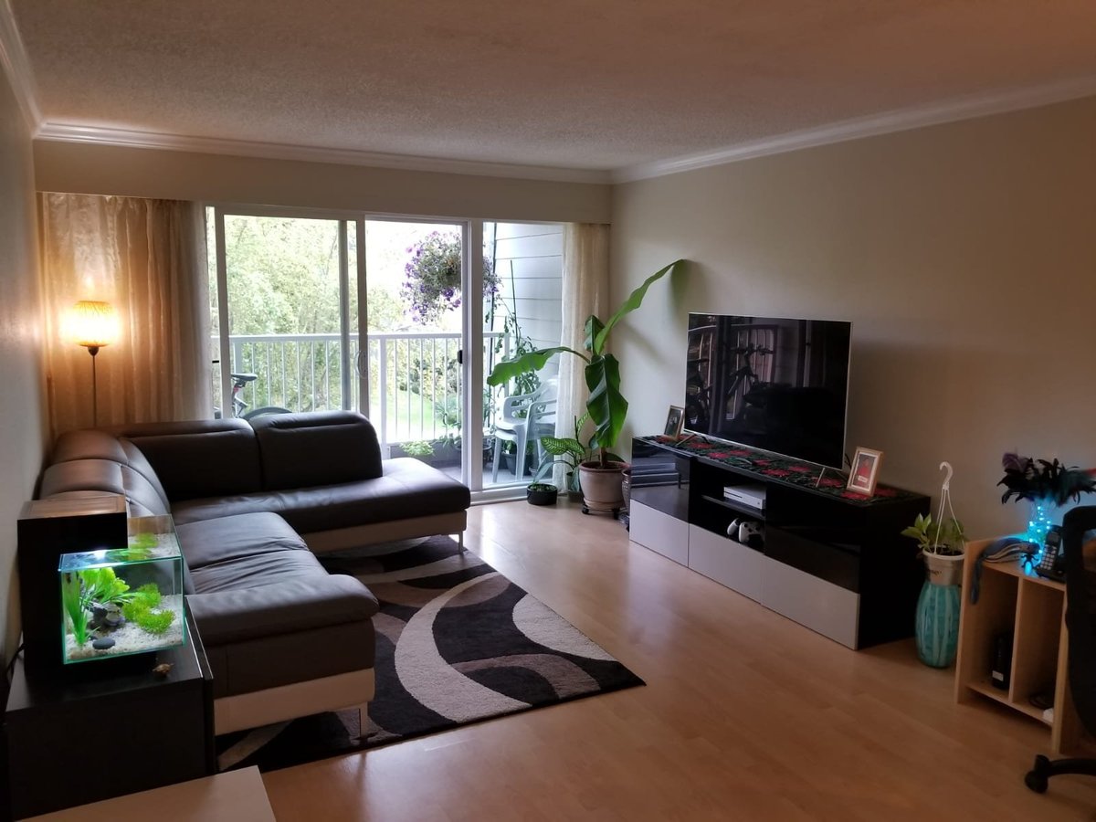 3451 Springfield Drive - Photo 13
