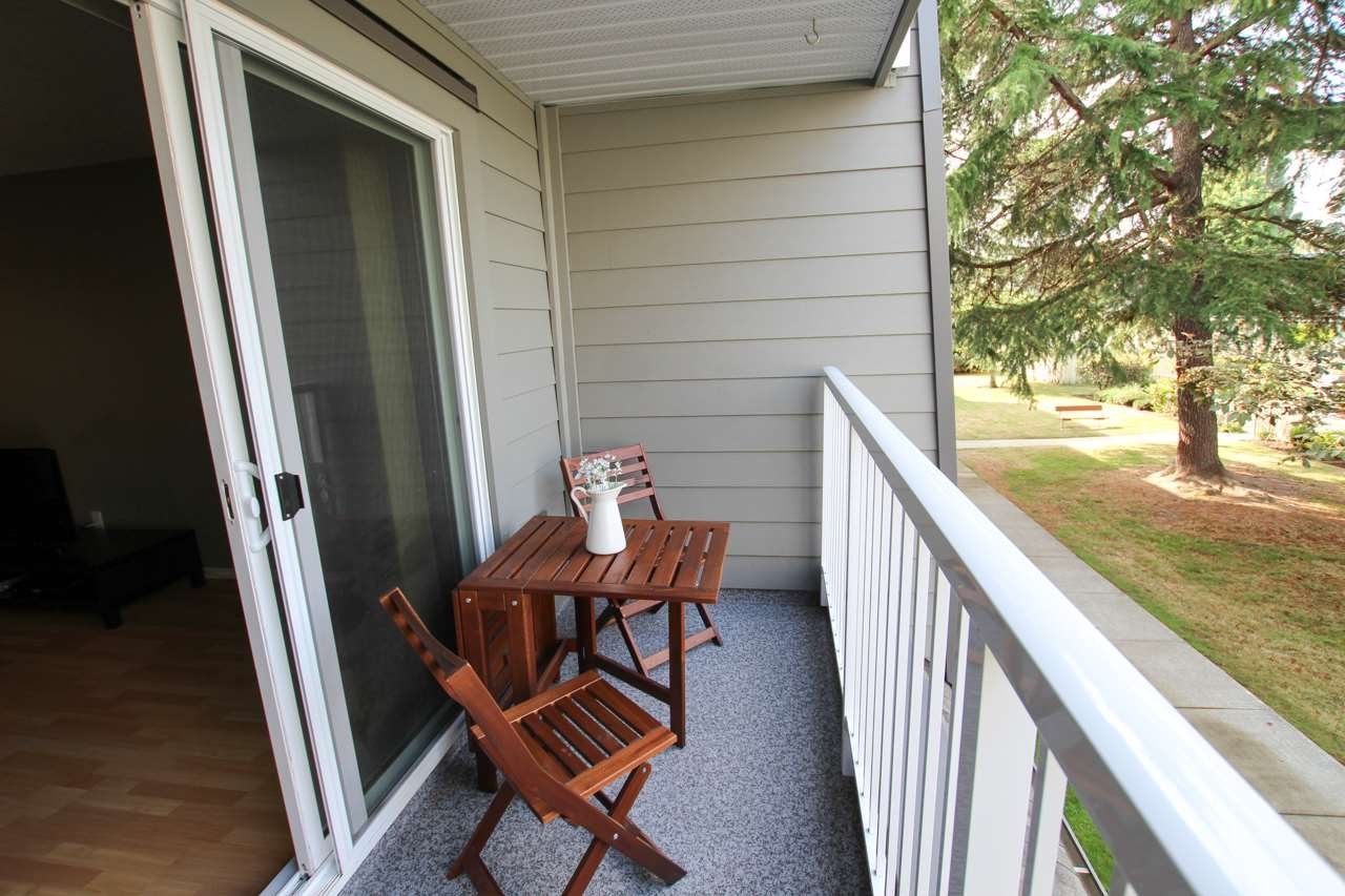 3451 Springfield Drive - Photo 12