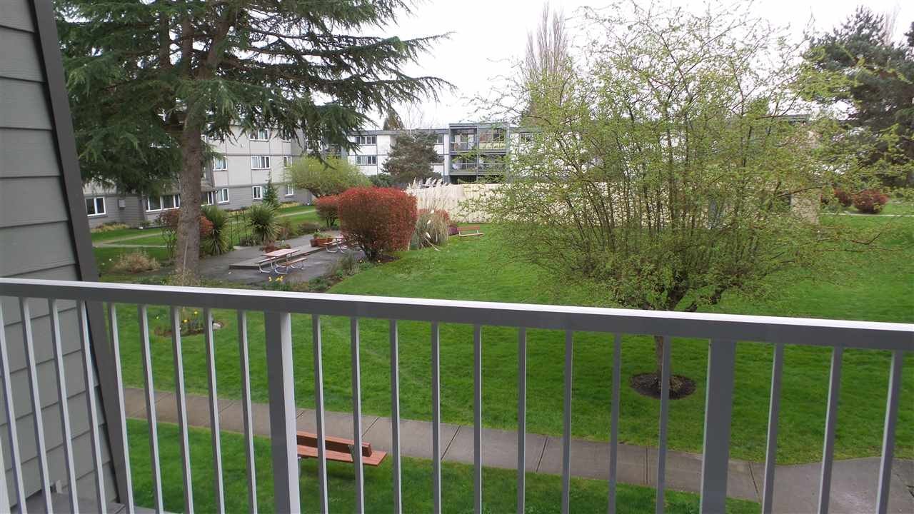 3451 Springfield Drive - Photo 11