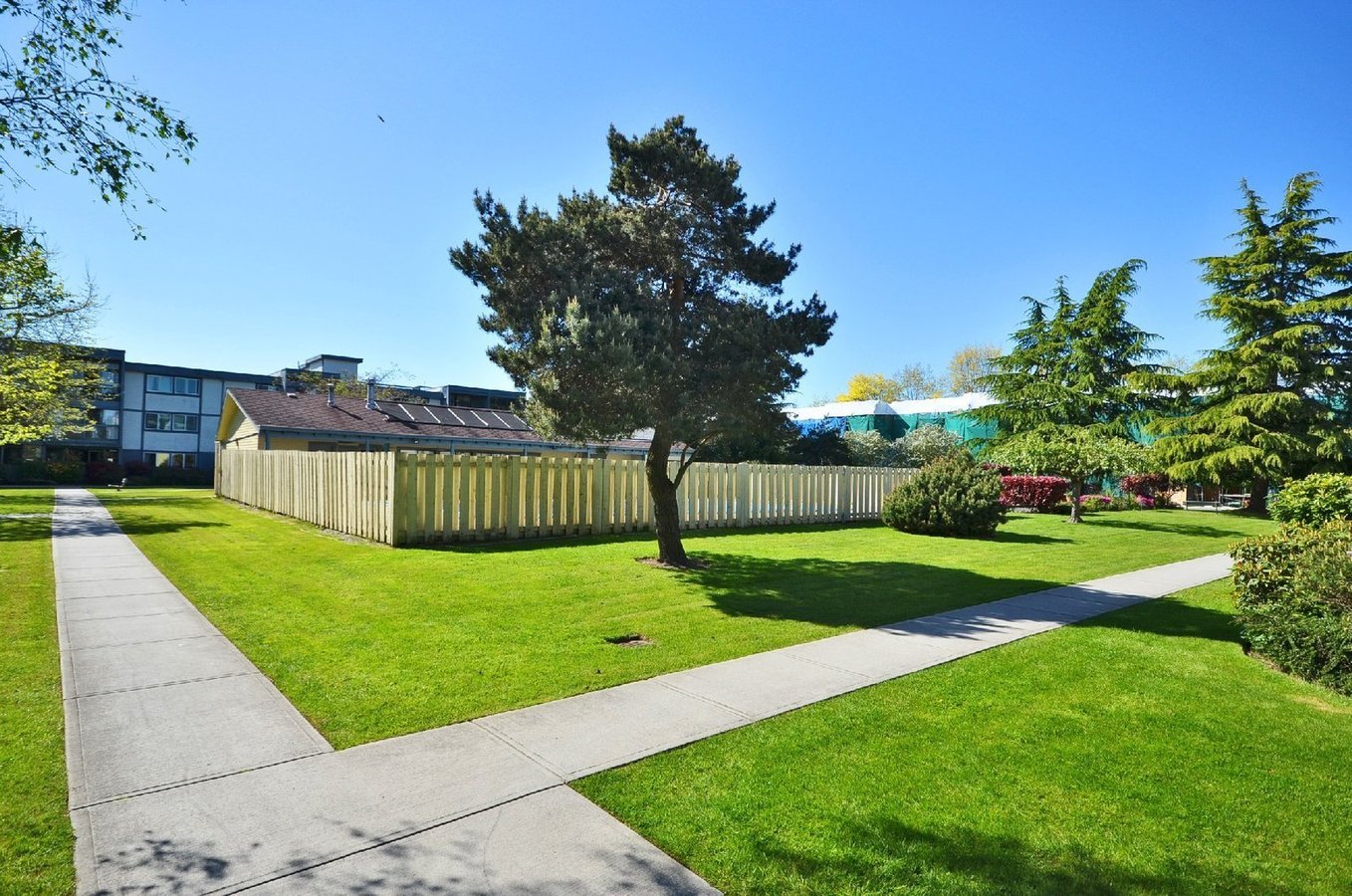 3451 Springfield Drive - Photo 9