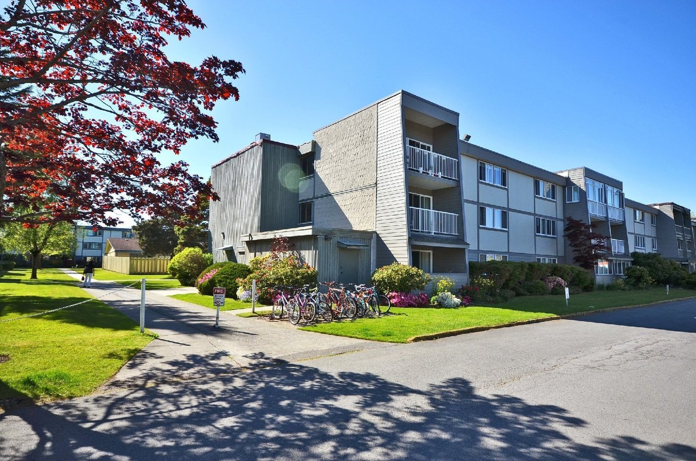3451 Springfield Drive - Photo 8