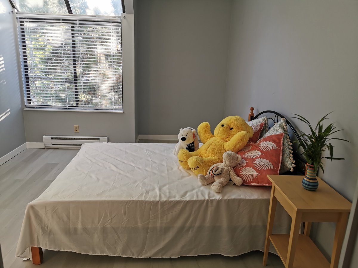 Richmond BC All Apartments for Rent