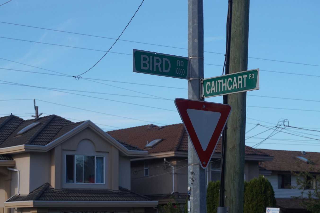 Caithcart Road - Photo 10