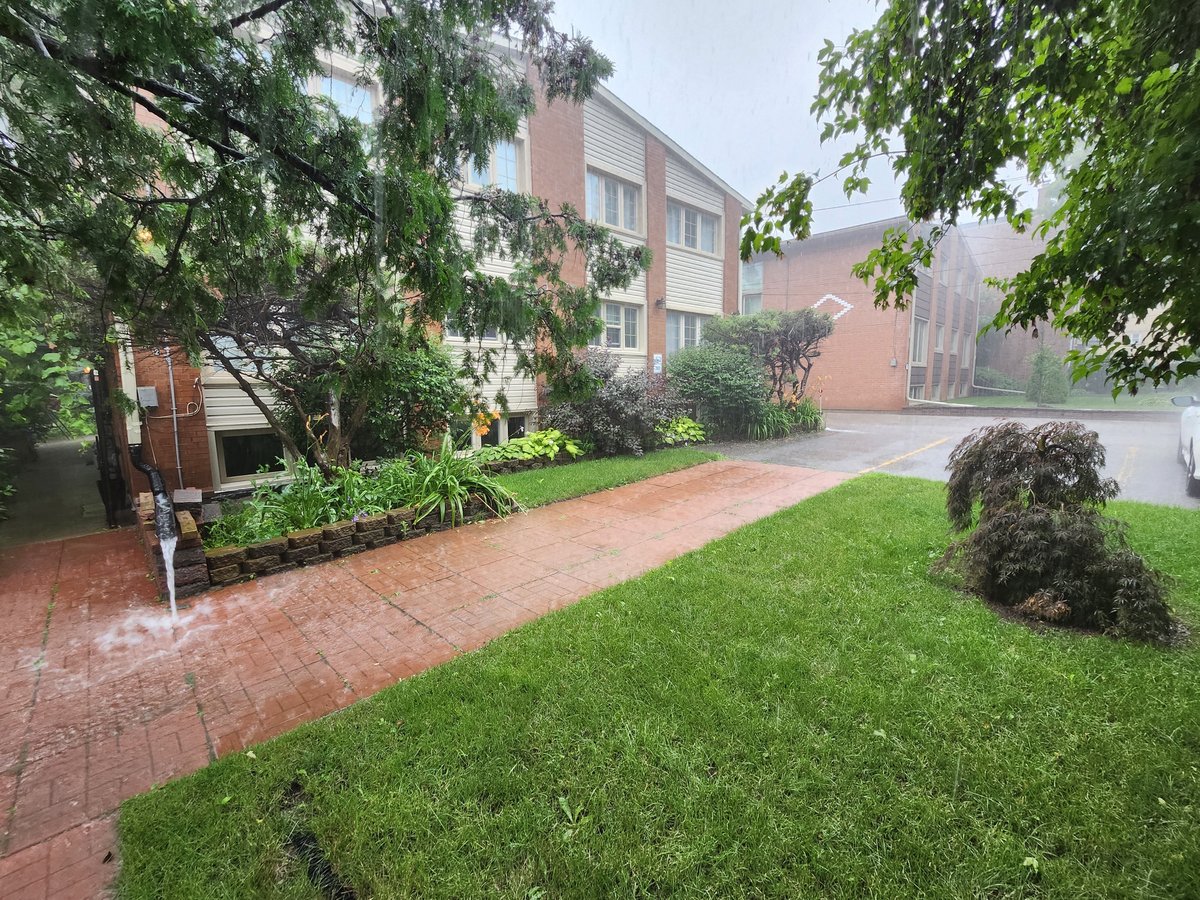 122 Lucas Street - Photo 4