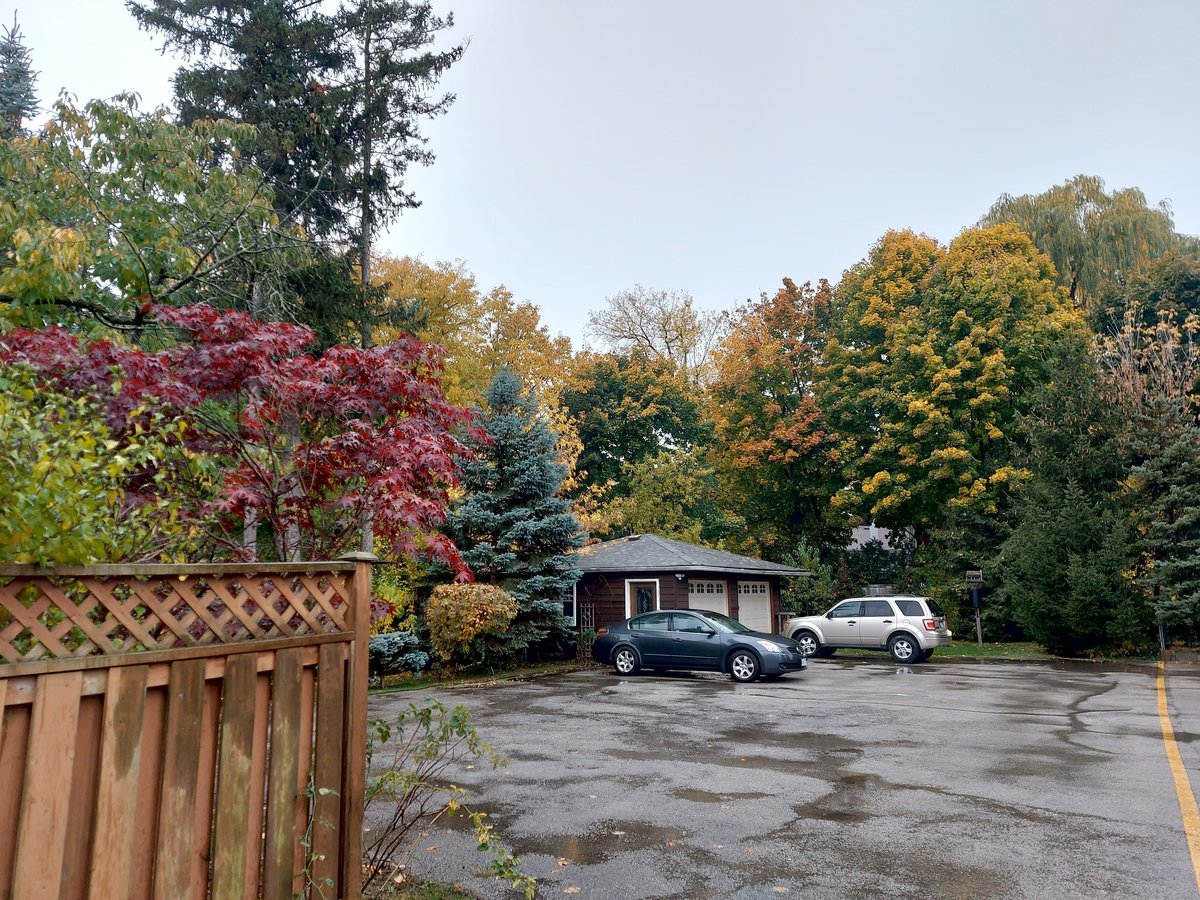 122 Lucas Street - Photo 32