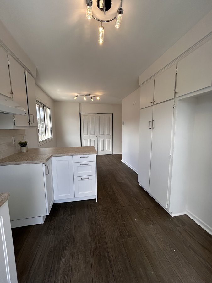 4634 Rue Bourdages - Photo 5