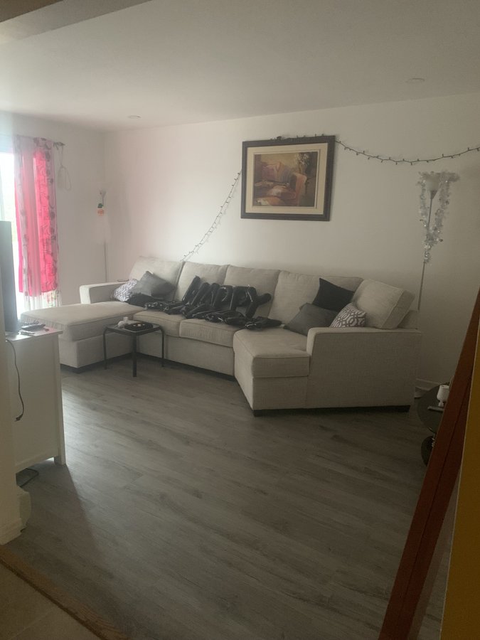 4725 Rue Victorin - Photo 3