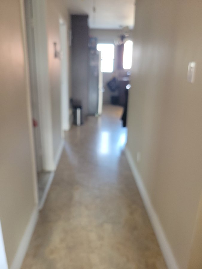9019 Rue Daillon - Photo 4