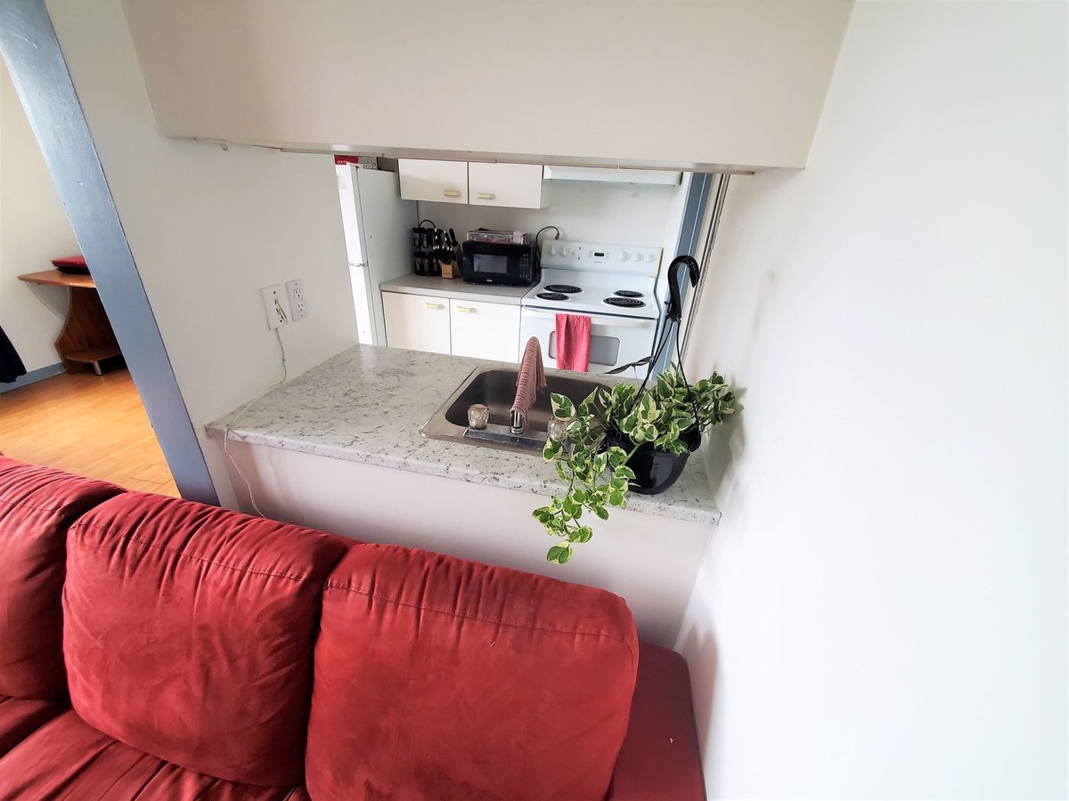 4 Rue Brown - Photo 6