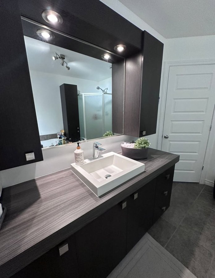 2190 Rue de La Salamandre - Photo 7