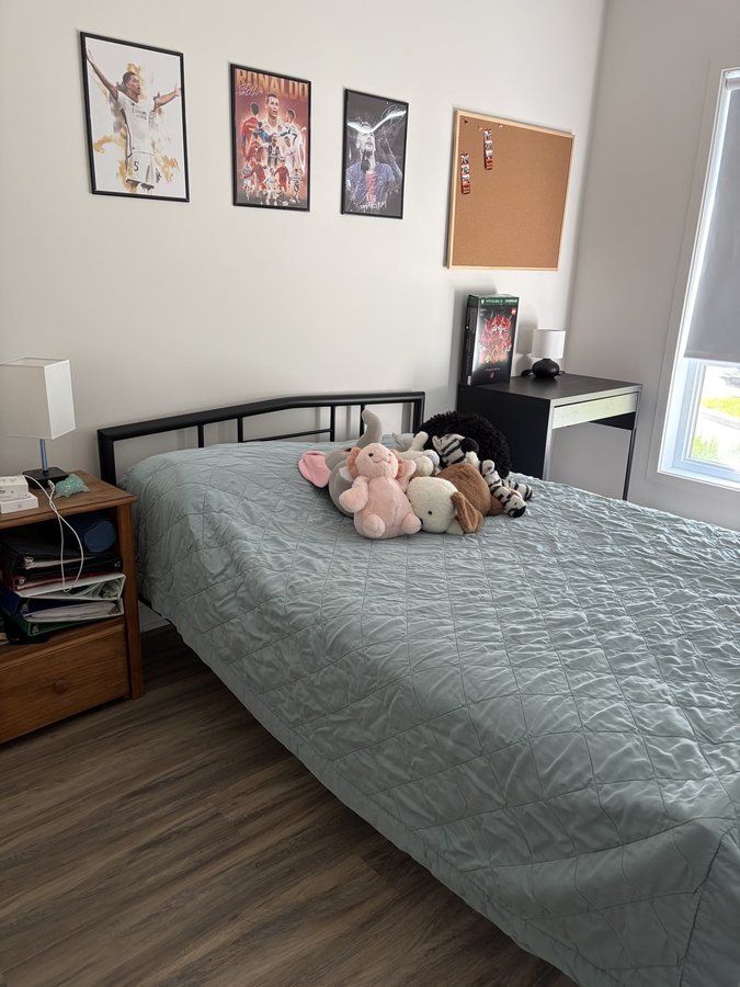 257 Rue Blainville Est - Photo 6