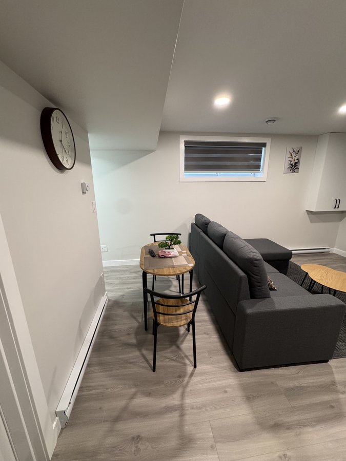 556 Schmeiser Avenue - Photo 8
